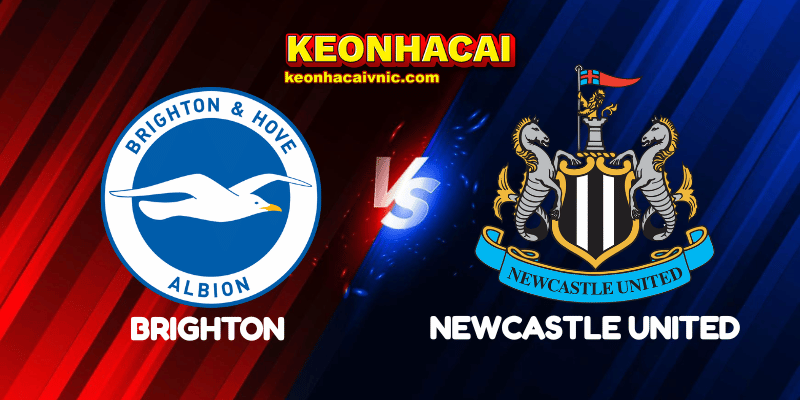 Brighton vs Newcastle United