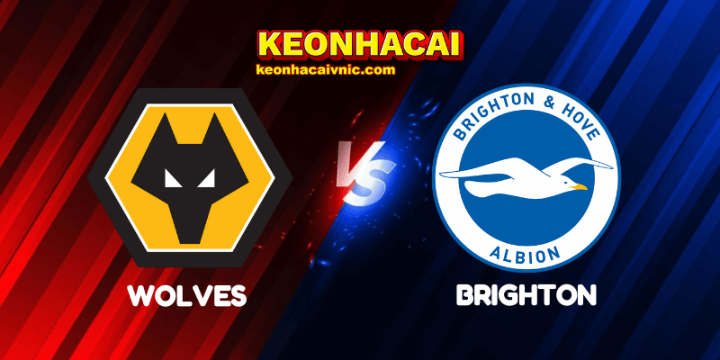 Wolves vs Brighton