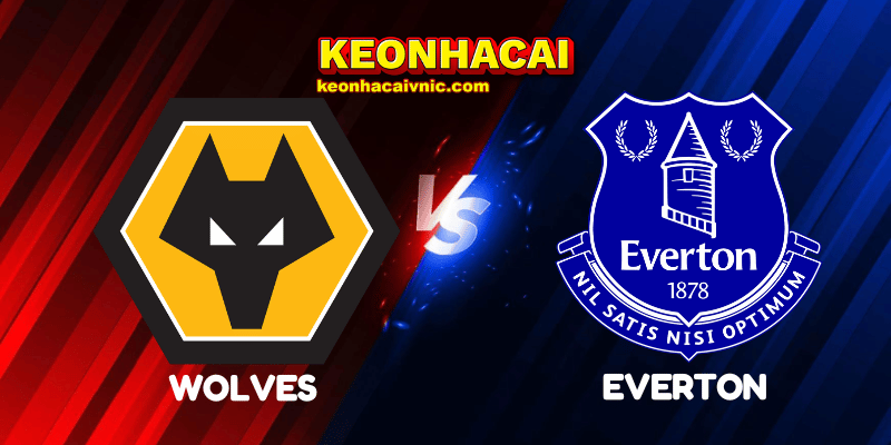Wolves vs Everton
